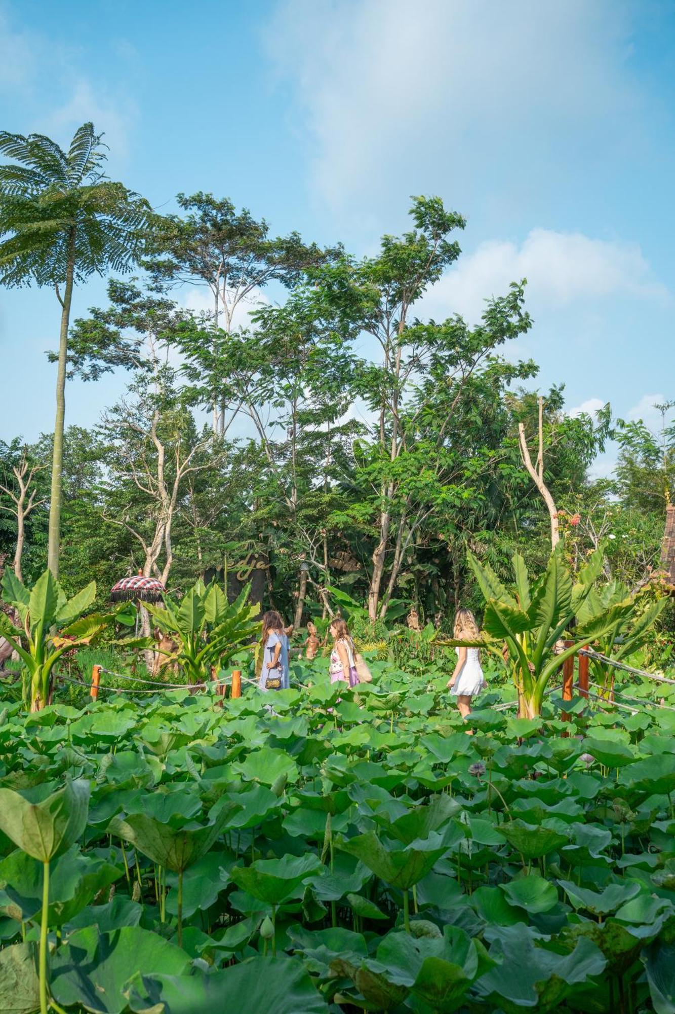 Ubud Art Resort Exterior photo