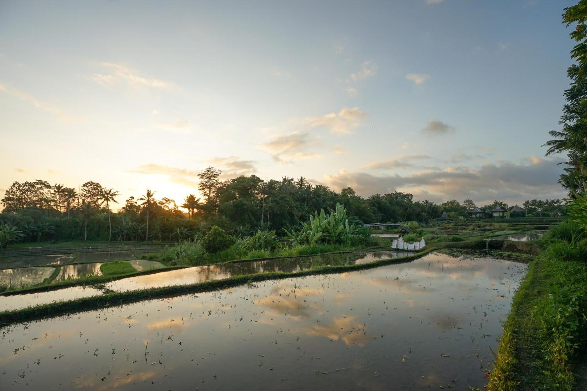 Ubud Art Resort Exterior photo